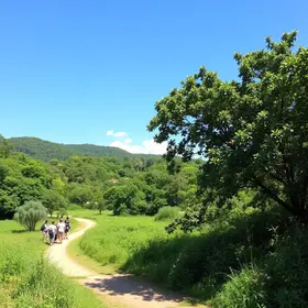 Turismo responsável em Araguaína: cuidados com áreas naturais e espaços públicos