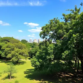 Onde contemplar a natureza em Araguaína sem sair da área urbana