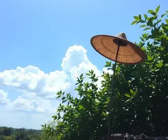 Calor em Araguaína: como se preparar para passeios ao ar livre