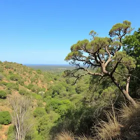 Áreas naturais de Araguaína para conhecer durante a estiagem