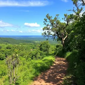 Roteiro de natureza em Araguaína para um dia ao ar livre